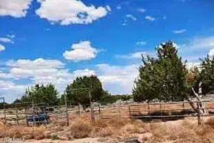 74 N7121 Red Sky Ranch --, Saint Johns, AZ 85936 - Photo 17