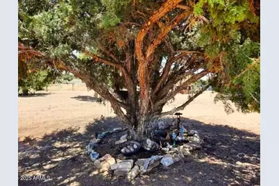 74 N7121  Red Sky Ranch --, Saint Johns, AZ 85936 - Photo 49