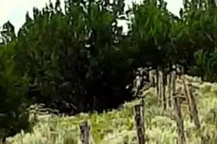 74 N7121 Red Sky Ranch --, Saint Johns, AZ 85936 - Photo 51