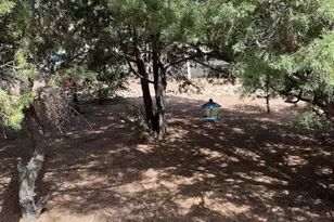 181 Timber Ridge Loop, Show Low, AZ 85901 - Photo 51