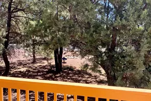 181 Timber Ridge Loop, Show Low, AZ 85901 - Photo 41