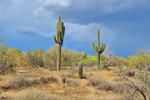 5141 E Rancho Tierra Dr, Cave Creek, AZ 85331 - Photo 3