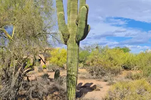 5141 E Rancho Tierra Dr, Cave Creek, AZ 85331 - Photo 59
