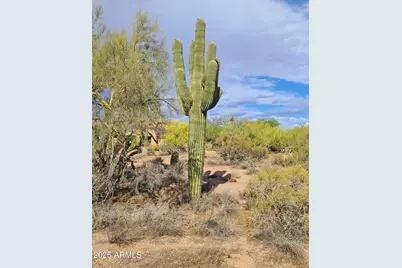 5141 E Rancho Tierra Drive, Cave Creek, AZ 85331 - Photo 57