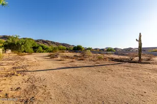 8828 S 16th St, Phoenix, AZ 85042 - Photo 43