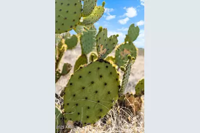 12220 S Caballo Terrace #347, Mayer, AZ 86333 - Photo 7