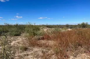 00 E Grim Ln, Cochise, AZ 85606 - Photo 1