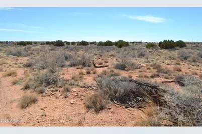 Lot 020B E 24th N Street #020B, Snowflake, AZ 85937 - Photo 3