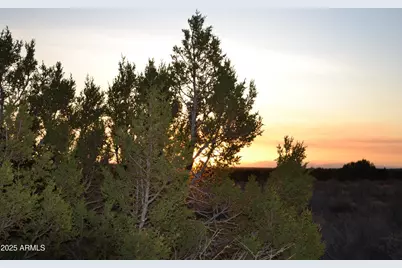 Lot 020B E 24th N Street #020B, Snowflake, AZ 85937 - Photo 9