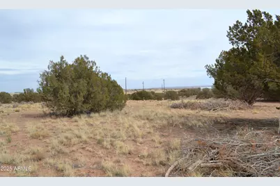 Lot 020D E 24th North Street #020D, Snowflake, AZ 85937 - Photo 1
