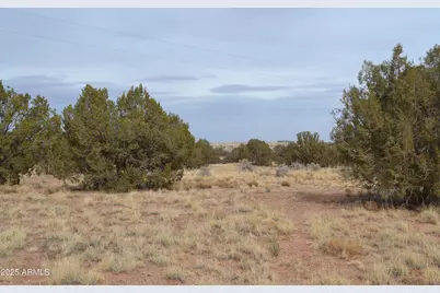 Lot 020D E 24th North Street #020D, Snowflake, AZ 85937 - Photo 3