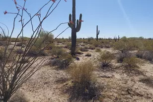 10559 N Wildwood Rd, Florence, AZ 85132 - Photo 1