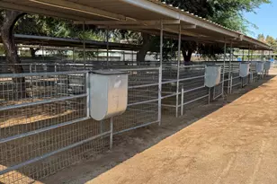 7425 N Alsup Ave, Litchfield Park, AZ 85340 - Photo 117