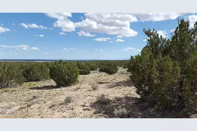 205 County Rd N7291 -- #-, Saint Johns, AZ 85936 - Photo 7
