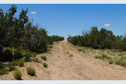 205 County Rd N7291 -- #-, Saint Johns, AZ 85936 - Photo 5