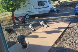 5693 S Calle Metate Blvd, Sierra Vista, AZ 85650 - Photo 15