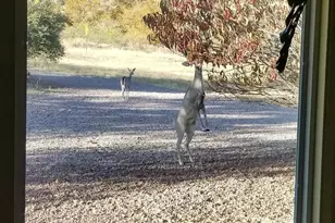 5693 S Calle Metate Blvd, Sierra Vista, AZ 85650 - Photo 13