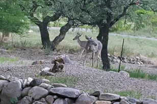 5693 S Calle Metate Blvd, Sierra Vista, AZ 85650 - Photo 9