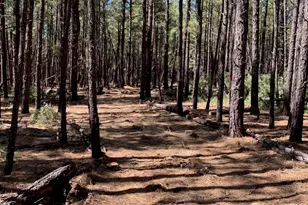 Tbd-2 Dynamite Rd, Lakeside, AZ 85929 - Photo 1