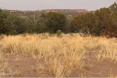 Lot 1041 Woodland Valley Ranch -- #1041, Saint Johns, AZ 85936 - Photo 1