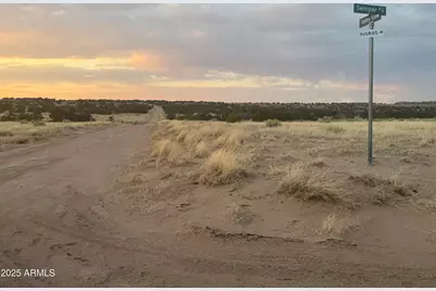 Lot 1041 Woodland Valley Ranch -- #1041, Saint Johns, AZ 85936 - Photo 7