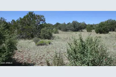 0 Espee Road #-, Williams, AZ 86046 - Photo 11
