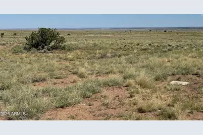 5A & 5B Cr 6099 -- #005B, Saint Johns, AZ 85936 - Photo 11