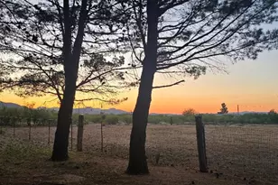 311 W Kaibab Way, Cochise, AZ 85606 - Photo 49