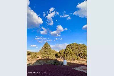 47 County Rd 8306 -- #165, Concho, AZ 85924 - Photo 3