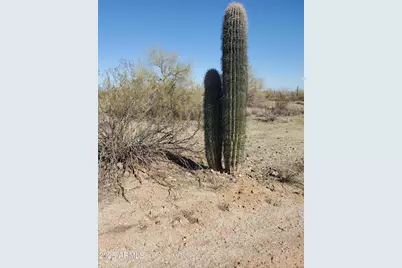 0 W Momoli Road #24, Maricopa, AZ 85139 - Photo 11