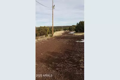 10755029D N 0 -- #29-4, Concho, AZ 85924 - Photo 3