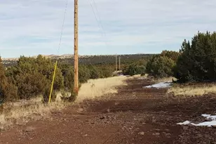 10755029D N 0 --, Concho, AZ 85924 - Photo 3