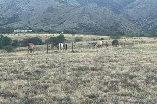 6100 E Darley Dr, Hereford, AZ 85615 - Photo 63