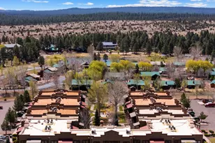 2395 Quarter Horse Trl, Overgaard, AZ 85933 - Photo 21