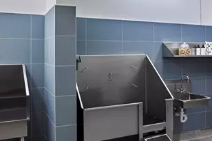 817 N 6th St, Phoenix, AZ 85004 - Photo 27