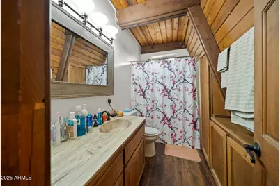 8624 Silver Creek Drive, Show Low, AZ 85901 - Photo 9