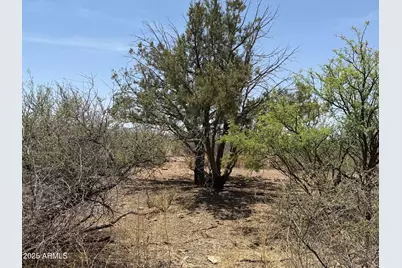 20 Ac S Price Ranch Road #-, Pearce, AZ 85625 - Photo 5
