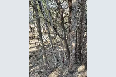 9 Lodgepole Circle #9, Pine, AZ 85544 - Photo 3