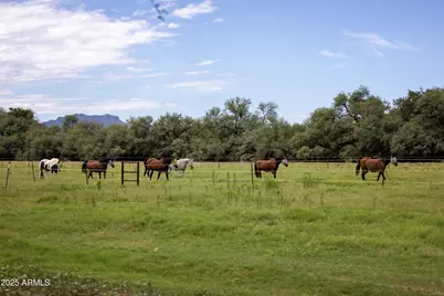 3155 W Elephant Head Road, Amado, AZ 85645 - Photo 59