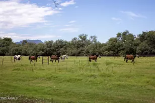 3155 W Elephant Head Rd, Amado, AZ 85645 - Photo 59