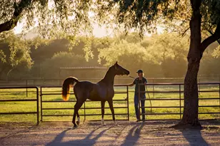 3155 W Elephant Head Rd, Amado, AZ 85645 - Photo 45