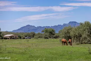 3155 W Elephant Head Rd, Amado, AZ 85645 - Photo 73