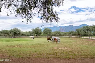 3155 W Elephant Head Rd, Amado, AZ 85645 - Photo 57