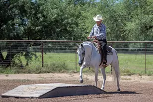 3155 W Elephant Head Rd, Amado, AZ 85645 - Photo 45