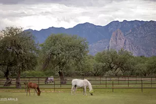 3155 W Elephant Head Rd, Amado, AZ 85645 - Photo 7
