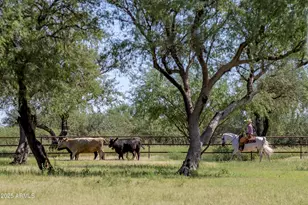 3155 W Elephant Head Rd, Amado, AZ 85645 - Photo 43