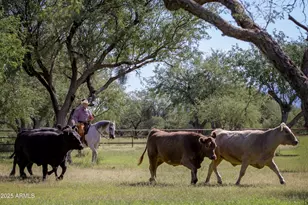 3155 W Elephant Head Rd, Amado, AZ 85645 - Photo 9