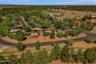 2353 S Buffalo Loop, Overgaard, AZ 85933 - Photo 29