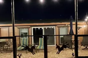 5824 E Montgomery Rd, Cave Creek, AZ 85331 - Photo 35