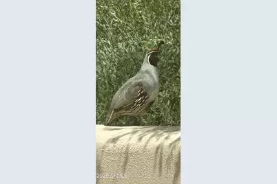 7485 E Tumbleweed Drive, Scottsdale, AZ 85266 - Photo 53